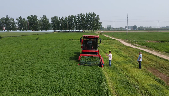 9011dcb4e5c5353675a8b1359a3c9e3 9011dcb4e5c5353675a8b1359a3c9e3.png