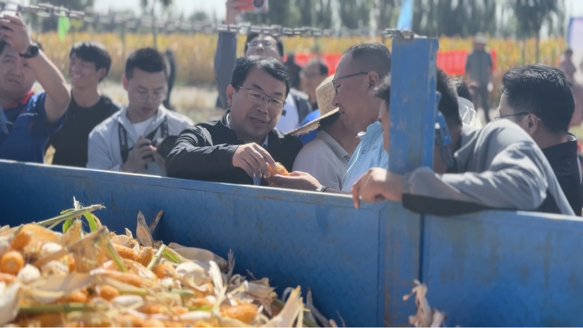 e10a48241ef1e5830d2d781d66241c60 e10a48241ef1e5830d2d781d66241c60