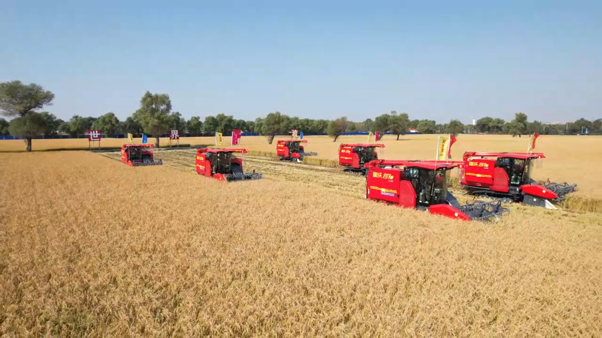 6.黑龙江省庆丰收活动现场 6.黑龙江省庆丰收活动现场