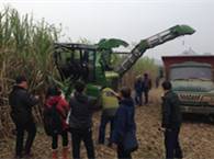 中联重科“谷王”甘蔗机，助力广西糖料蔗基地建设