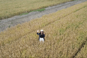 逐梦沃野向阳而生 碧桂园智慧农业湖北潜江集体亮相