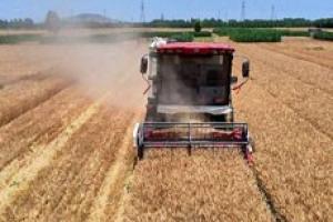 农业农村部答复：谋划建设全国农机安全监督管理信息化系统