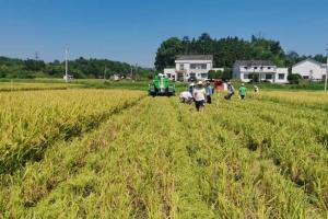 农业农村部答复：大力推进秸秆高值化利用