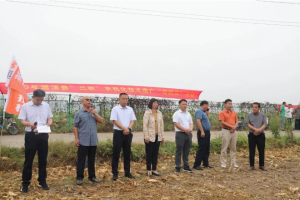 英轩拖拉机田间演示会助力“三秋”工作