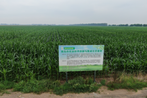 打造全程机械化示范基地 引领农机化高质量发展