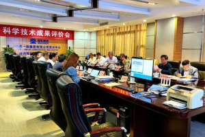 三项国际先进，一项国内领先