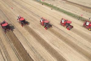 硬核潍柴雷沃丨用“智”造打破技术垄断，为粮食增产、减损提供“粮”方