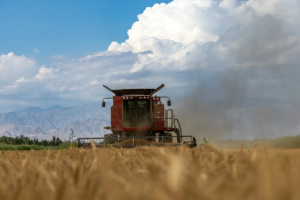 【收获新体验】凯斯AF5088轴流滚筒联合收割机——清选系统、粮箱及轮胎升级