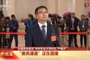 【聚焦两会】两会委员：手中有粮，心中不慌，这句话永远是真理