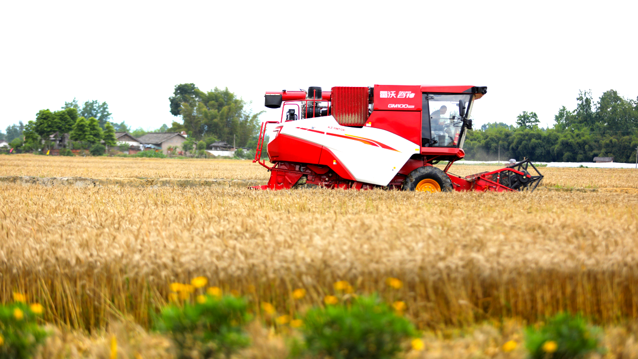 共绘智慧农业新图景丨智能农机装备发展研讨会在雷沃召开