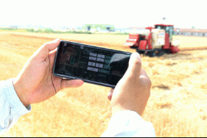 云端种田 | 雷沃智慧农业整体解决方案开启“稻麦轮作”智慧新丰景