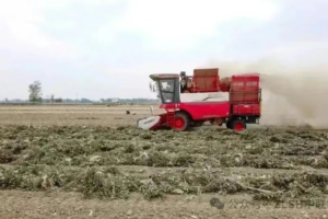 河南安阳李师傅：花生机收服务路上，只信赖中联收获花生机​