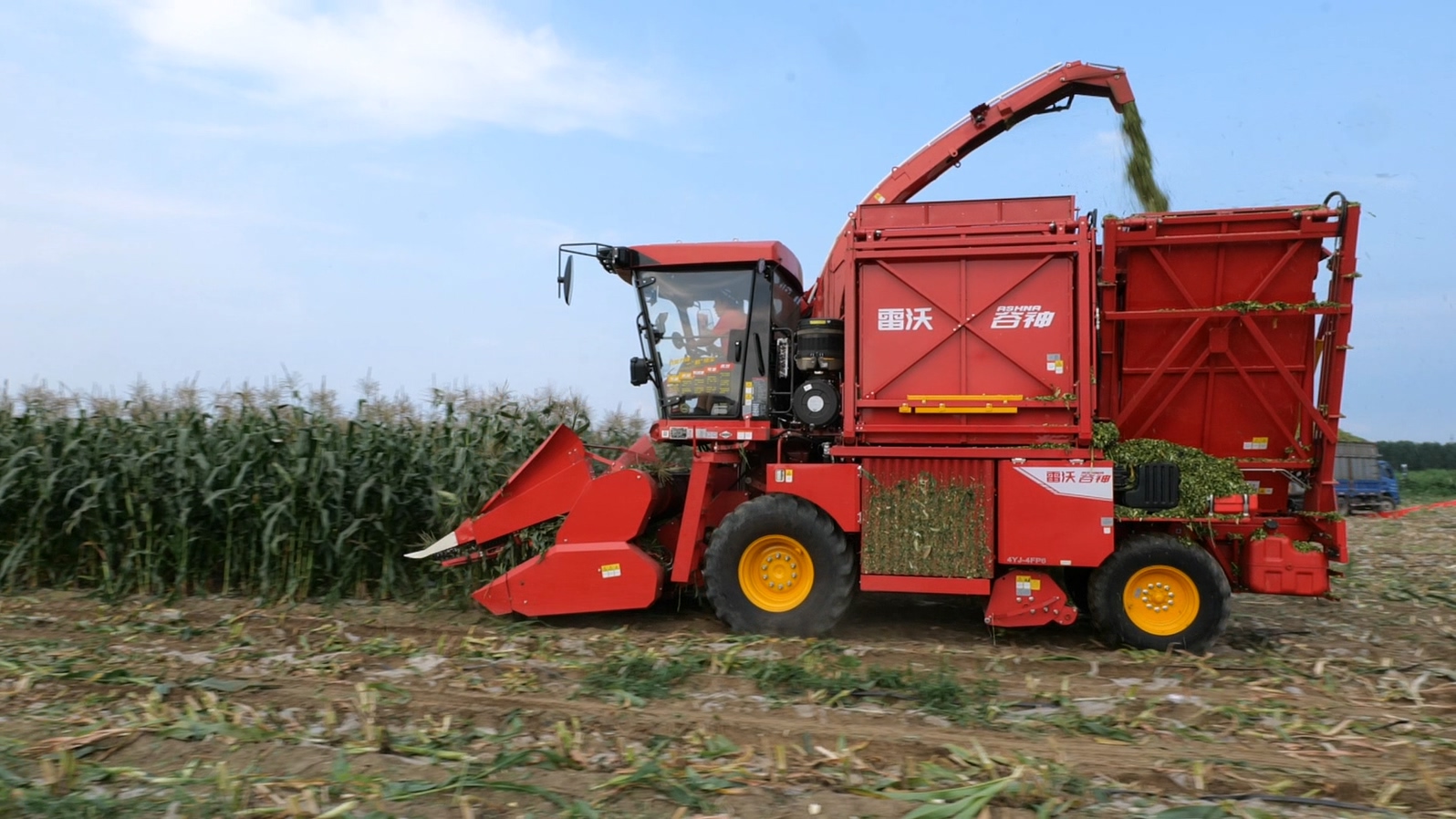 3雷沃谷神玉米收割机作业