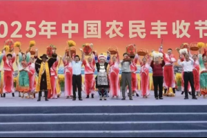 中国农民丰收节，玲珑轮胎以创新科技助力农业丰收