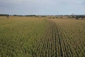 一秋分两半 又是好时